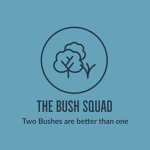 *The Bush Squad*