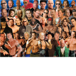 wwe superfan superstars