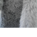 danc monkey