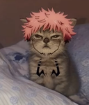Kitty sukuna