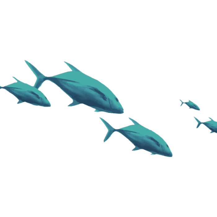 Blue green fish Roblox decal