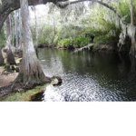 Creek County, Florida