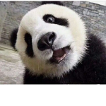 ulooksodumbrightnow