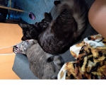 Este grupi es mio y de valen y isabela