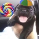 warexe
