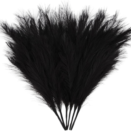 Square Decal