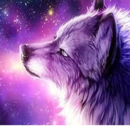Galaxy Wolf Obby