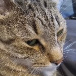 WinnieWorld