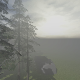 ♪♪ trees and rocks ♪♪