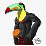Toucan's united