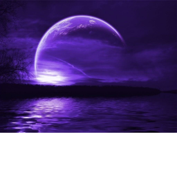 - P U R P L E M O O N -