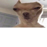 GamerRobloxTT
