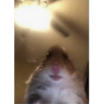 ~*Sunny_Roblox*~