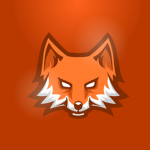 Team F0X3S