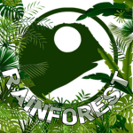 Rainforest