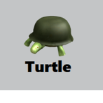 Terrific Turtles HQ
