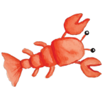 lobsta dev
