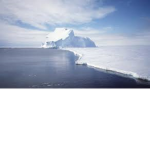 The Antarctic Legion