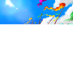 Wacom®