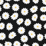 Daisy Jam