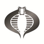 Cobrа Solutions