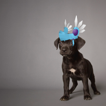 afk until someone donates 50k [Look rich update]!