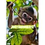 JOEY MONKEYZ