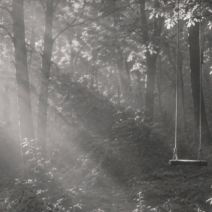 Ethereal Forest Swing Black White Dream Background