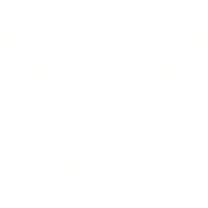[EMISSIVE] Glowing Angel Wings
