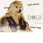 True Doges