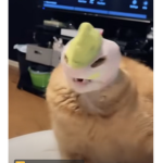 CookMonster