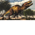!!dinosaurs fan!!