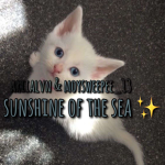 Sunshine of the sea