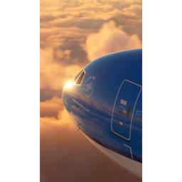 Flight Simulator Beta Release