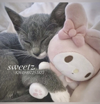 sweeetz