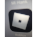 I liked Roblox