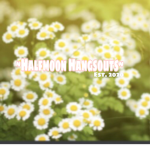 ~HalfMoon Hangout~