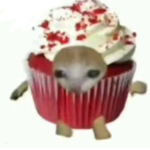 Gael _tgy