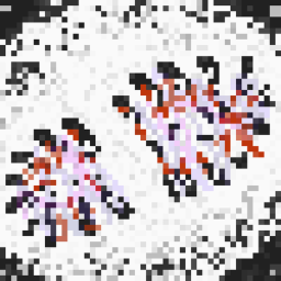 FOOTSTEP icon