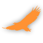 Wingspan Games