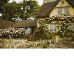 _ cottagecore _
