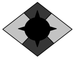The Light Initiative