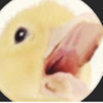DUCK:)