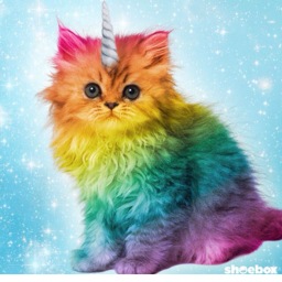 Unikitty and unipuppy Hangout!