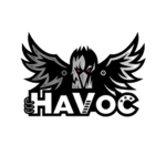 The Destroying Havoc