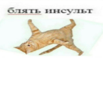 Раздачи робаксов каждый месяц!!