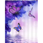 Butterfly wonderland’s
