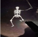 The Skeletons are Reunited