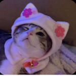 Cool, aesthetic, cute clothes