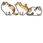 Cringe catz